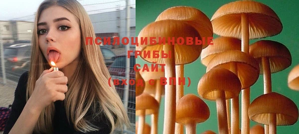 прущий лед Балабаново