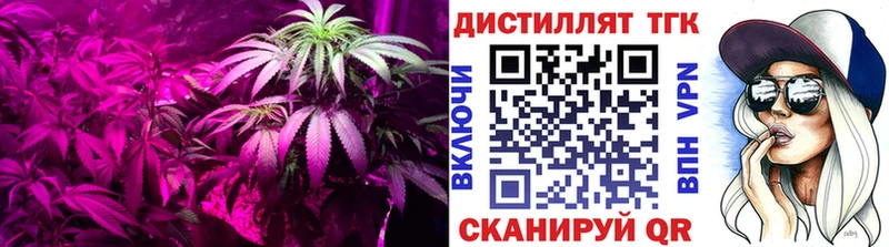 дарнет шоп  Отрадная  Дистиллят ТГК Wax 
