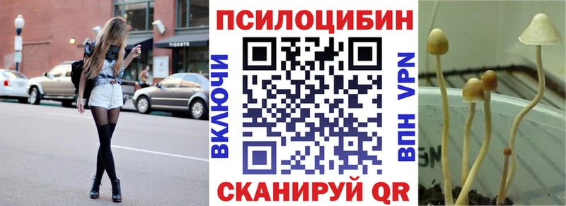 где продают наркотики  Отрадная  Галлюциногенные грибы ЛСД 